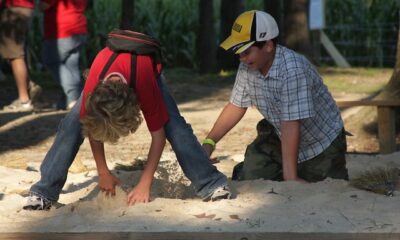 a boy in a zoo exhibit