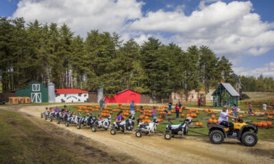 a row of parked motorcycles sitting on top of a dirt road